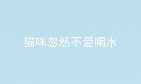 猫咪忽然不爱喝水