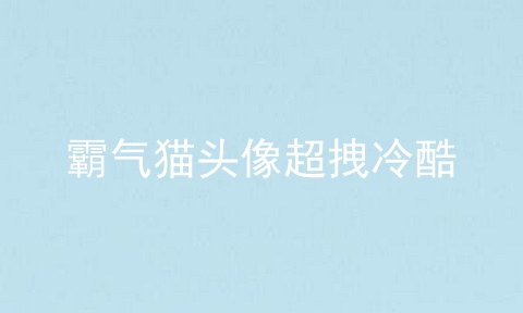 霸气猫头像超拽冷酷