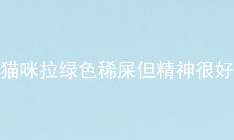 猫咪拉绿色稀屎但精神很好