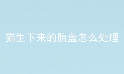 猫生下来的胎盘怎么处理