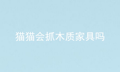猫猫会抓木质家具吗
