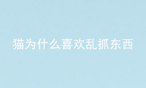 猫为什么喜欢乱抓东西