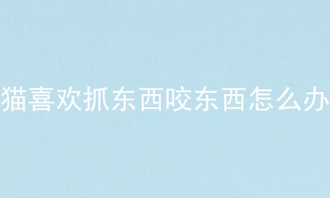猫喜欢抓东西咬东西怎么办