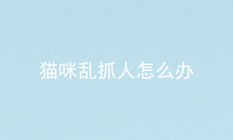 猫咪乱抓人怎么办