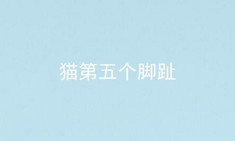 猫第五个脚趾