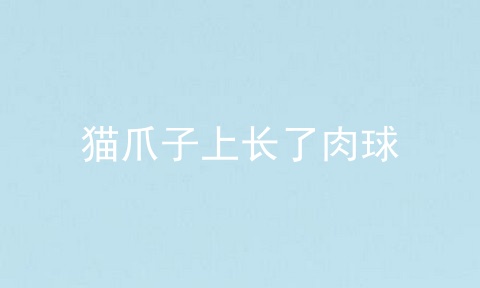 猫爪子上长了肉球