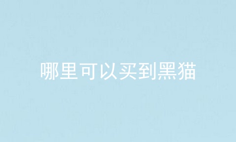 哪里可以买到黑猫