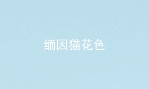 缅因猫花色