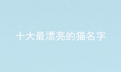 十大最漂亮的猫名字