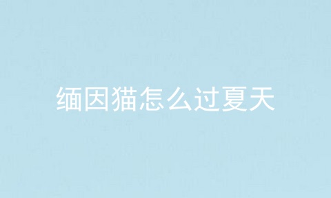 缅因猫怎么过夏天