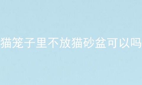 猫笼子里不放猫砂盆可以吗