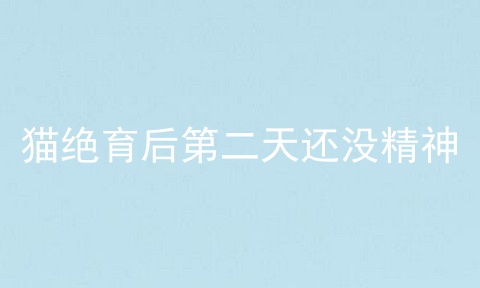 猫绝育后第二天还没精神