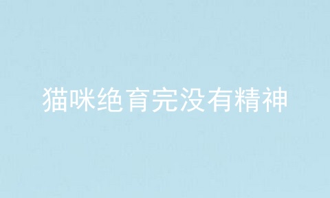 猫咪绝育完没有精神