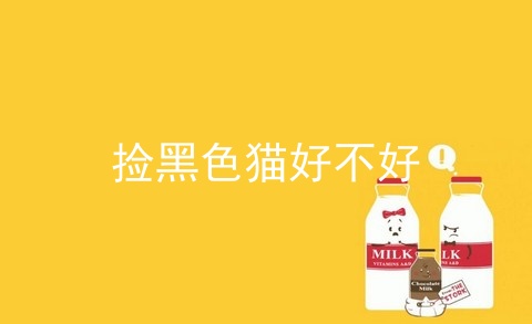 捡黑色猫好不好