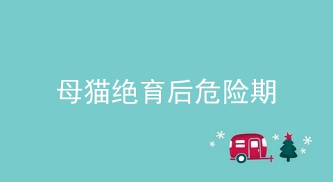 母猫绝育后危险期