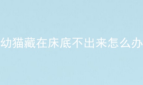 幼猫藏在床底不出来怎么办