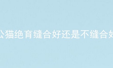 公猫绝育缝合好还是不缝合好