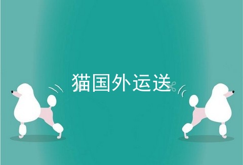 猫国外运送