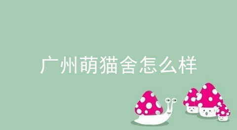 广州萌猫舍怎么样