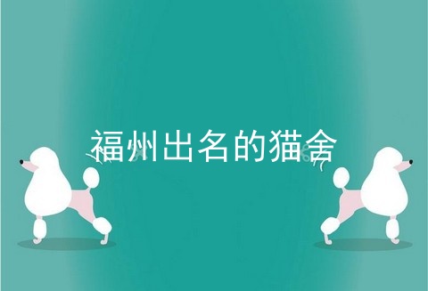福州出名的猫舍