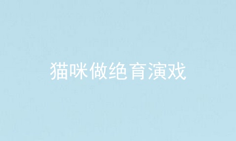 猫咪做绝育演戏