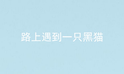路上遇到一只黑猫
