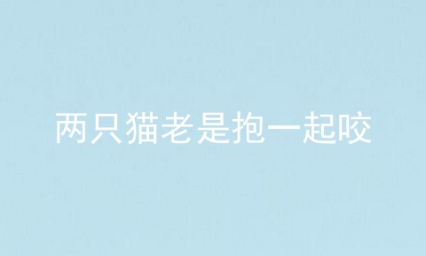 两只猫老是抱一起咬