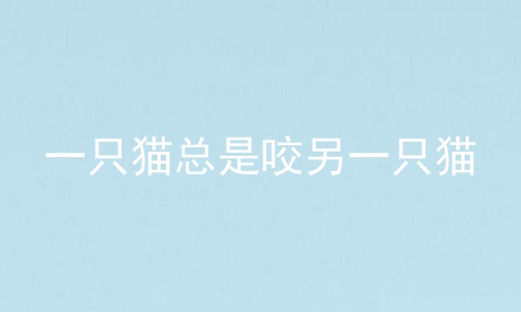 一只猫总是咬另一只猫