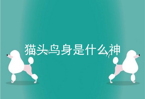 猫头鸟身是什么神