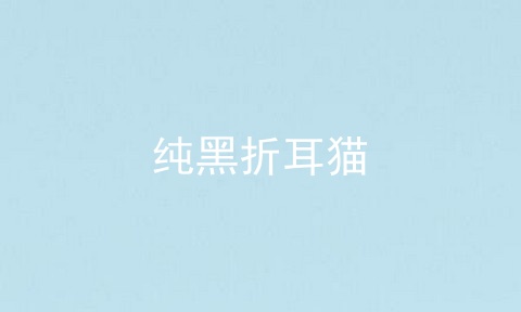 纯黑折耳猫
