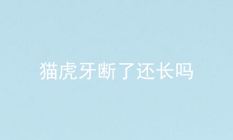 猫虎牙断了还长吗