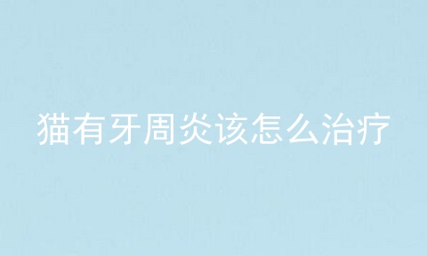 猫有牙周炎该怎么治疗