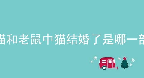 猫和老鼠中猫结婚了是哪一部