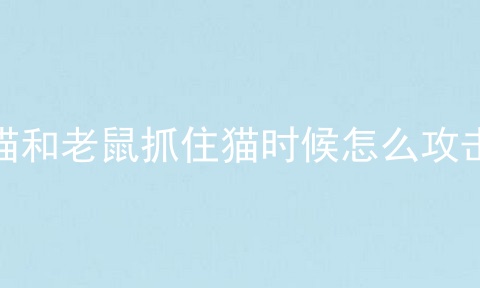 猫和老鼠抓住猫时候怎么攻击