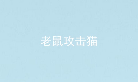 老鼠攻击猫