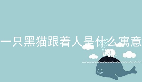 一只黑猫跟着人是什么寓意