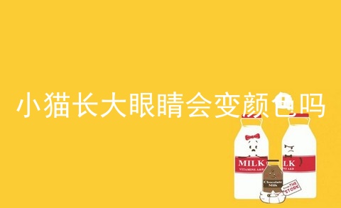 小猫长大眼睛会变颜色吗