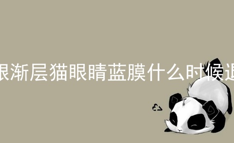 银渐层猫眼睛蓝膜什么时候退