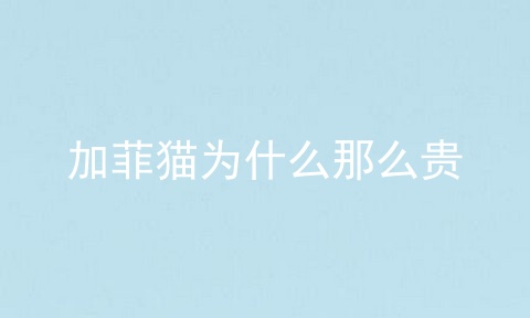 加菲猫为什么那么贵