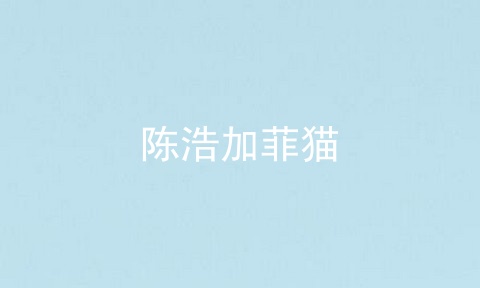 陈浩加菲猫