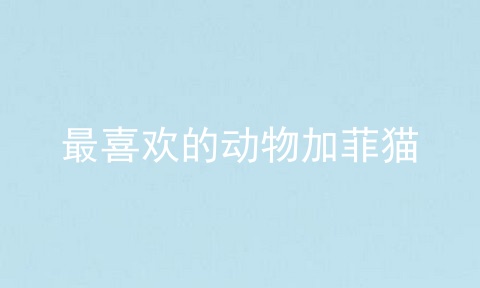 最喜欢的动物加菲猫