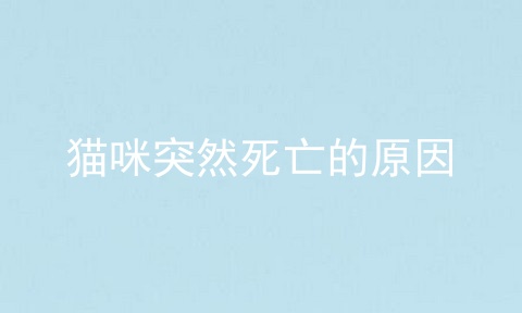 猫咪突然死亡的原因