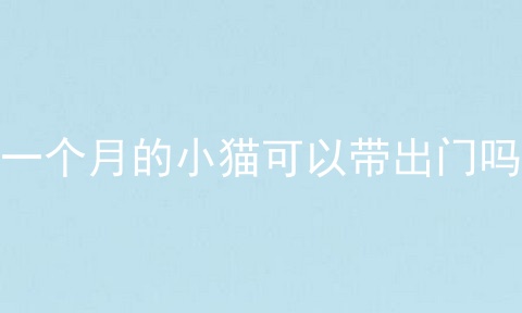 一个月的小猫可以带出门吗