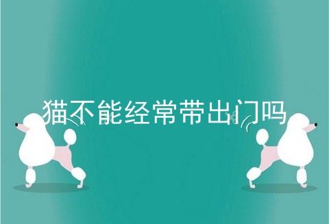 猫不能经常带出门吗
