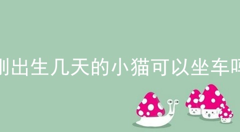 刚出生几天的小猫可以坐车吗
