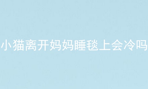 小猫离开妈妈睡毯上会冷吗