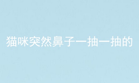 猫咪突然鼻子一抽一抽的