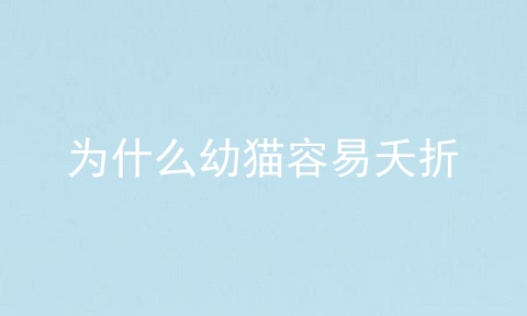 为什么幼猫容易夭折