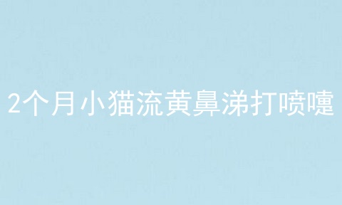 2个月小猫流黄鼻涕打喷嚏