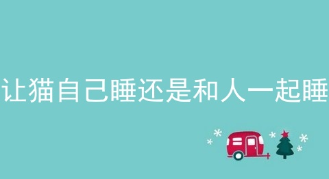 让猫自己睡还是和人一起睡